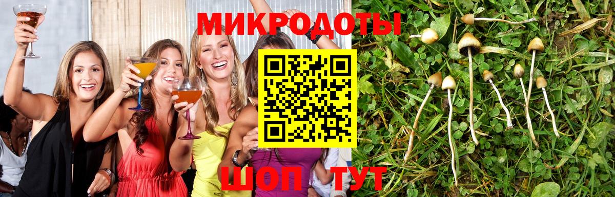 Галлюциногенные грибы Psilocybe  Псилоцибиновые грибы мицелий  Вход с VPN  Соль-Илецк 