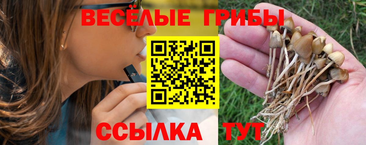 Псилоцибиновые грибы мухоморы Соль-Илецк